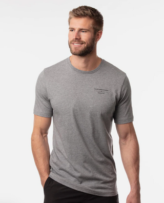 Buy heather-grey Travis Mathew Fun To Be Had T-Shirt