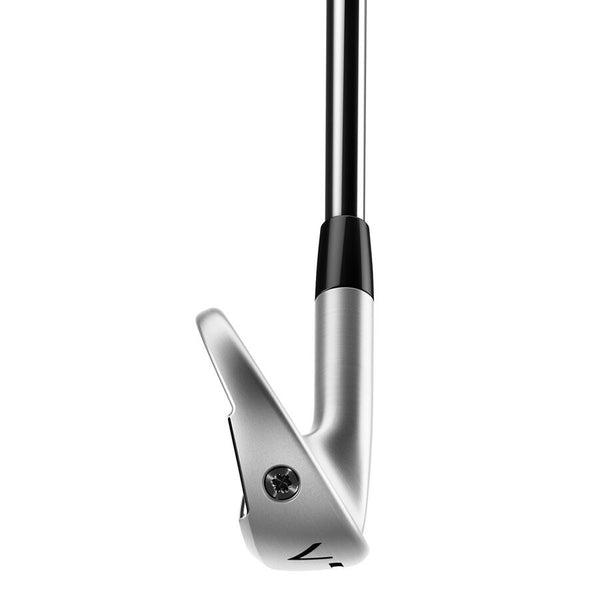 TaylorMade P770 Irons (4-PW)
